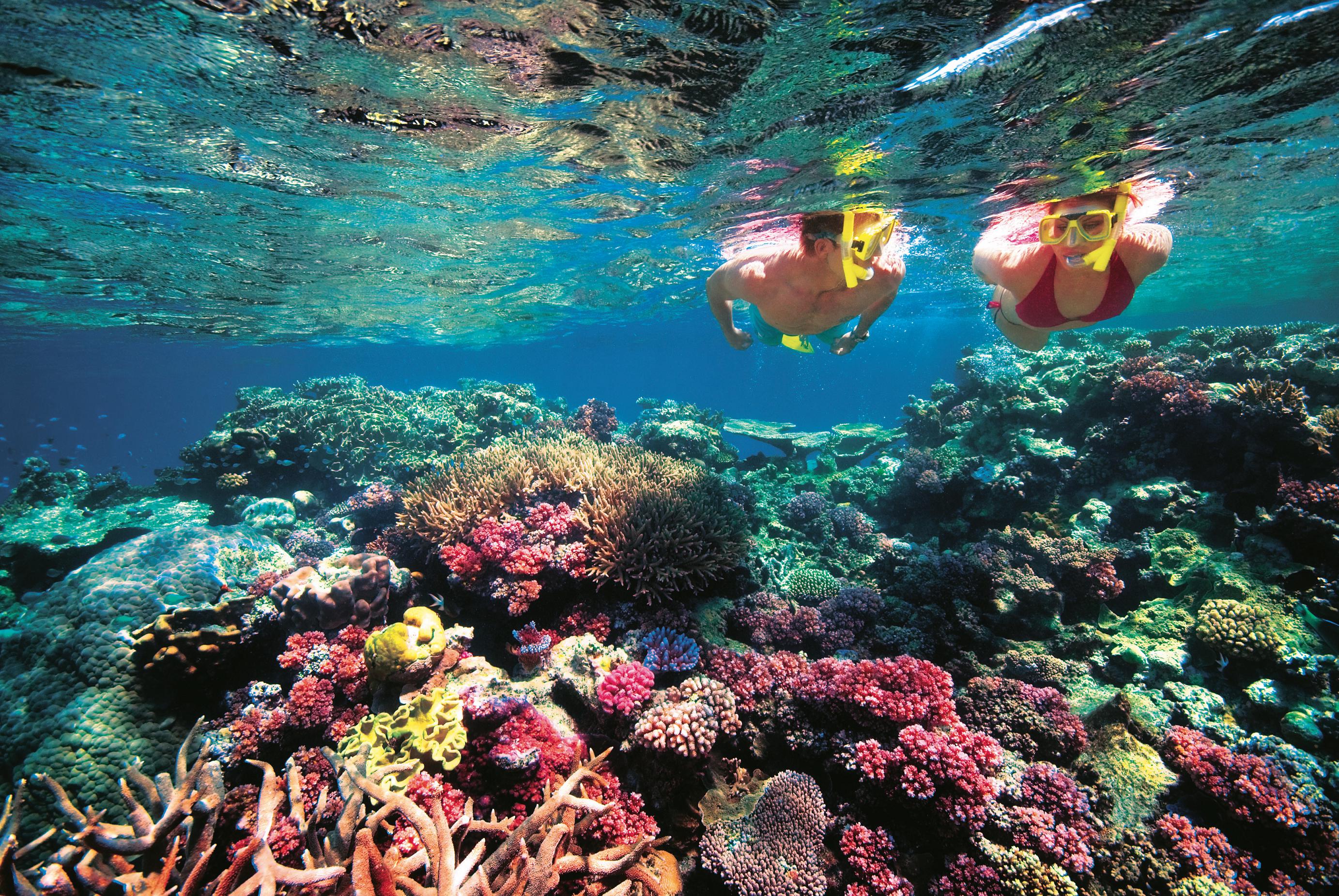 Belize Barrier Reef11 