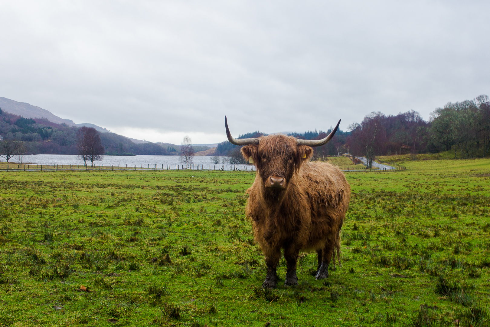 Travelettes » Rabbies Tour around Scotland Kathi Kamleitner 29