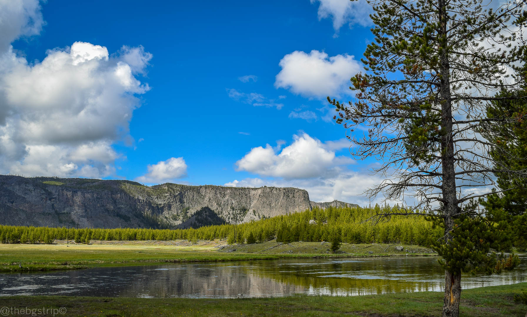 travelettes-yellowstone-travelettes